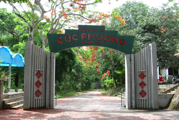 Hanoi - Cuc Phuong National Park - Hanoi